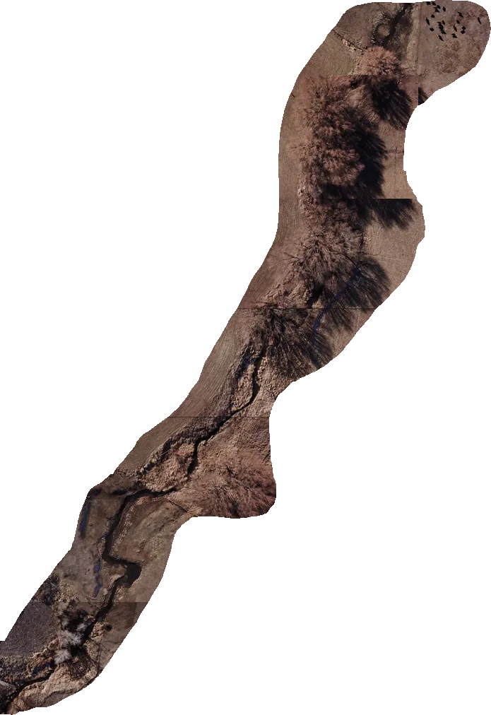 Aerial drone survey of the Snow Creek corridor