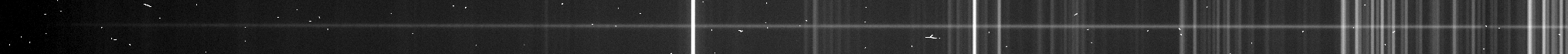 A raw spectrum frame: one faint horizontal streak, the pulsar's companion, crossed by bright vertical lines of night-sky emission